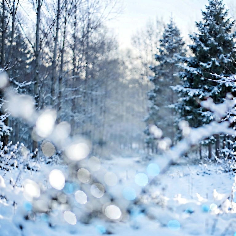 Cool cool bokeh - bokeh backgrounds free stock photo