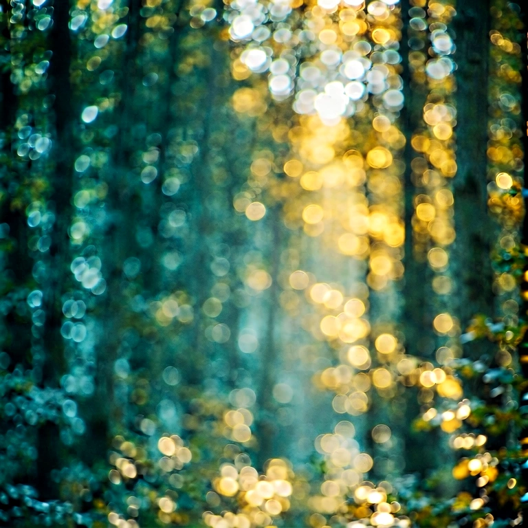 Cool nature bokeh - bokeh backgrounds free stock photo