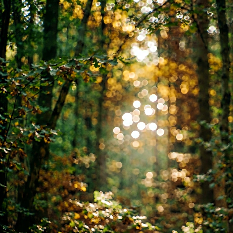 Neutral nature bokeh - bokeh backgrounds free stock photo