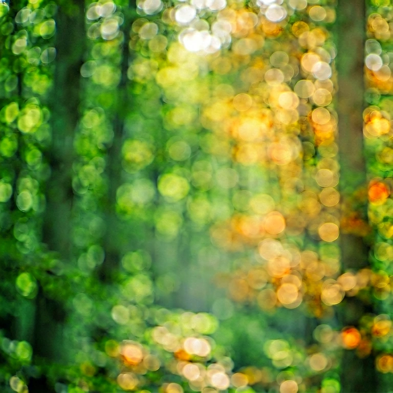 Dramatic nature bokeh - bokeh backgrounds free stock photo