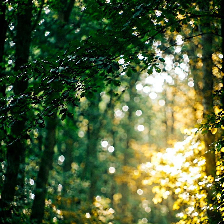 Bright nature bokeh - bokeh backgrounds free stock photo