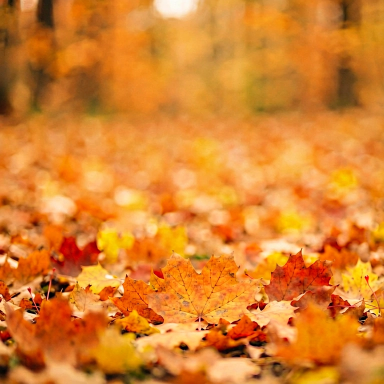 Neutral seasonal bokeh - bokeh backgrounds free stock photo