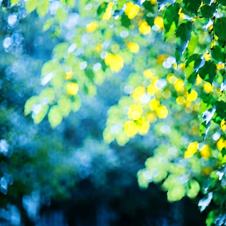 Cool seasonal bokeh - bokeh backgrounds free stock photo