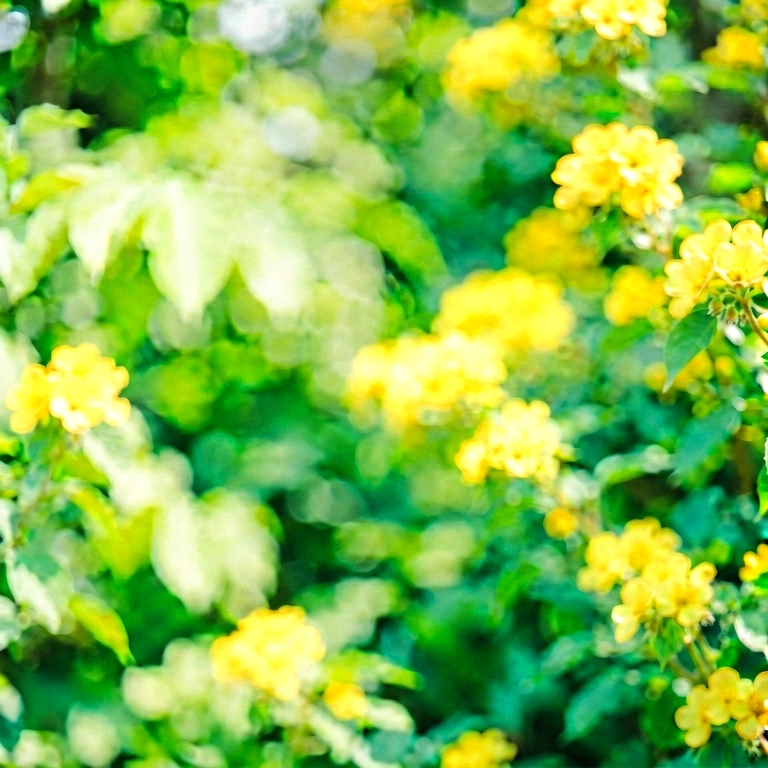 Neutral seasonal bokeh - bokeh backgrounds free stock photo