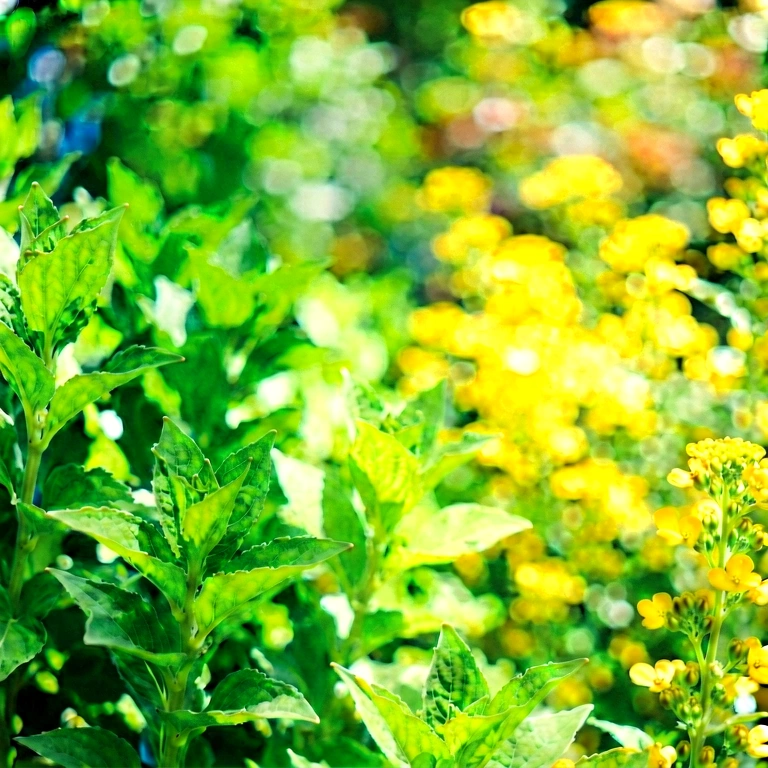 Dramatic seasonal bokeh - bokeh backgrounds free stock photo