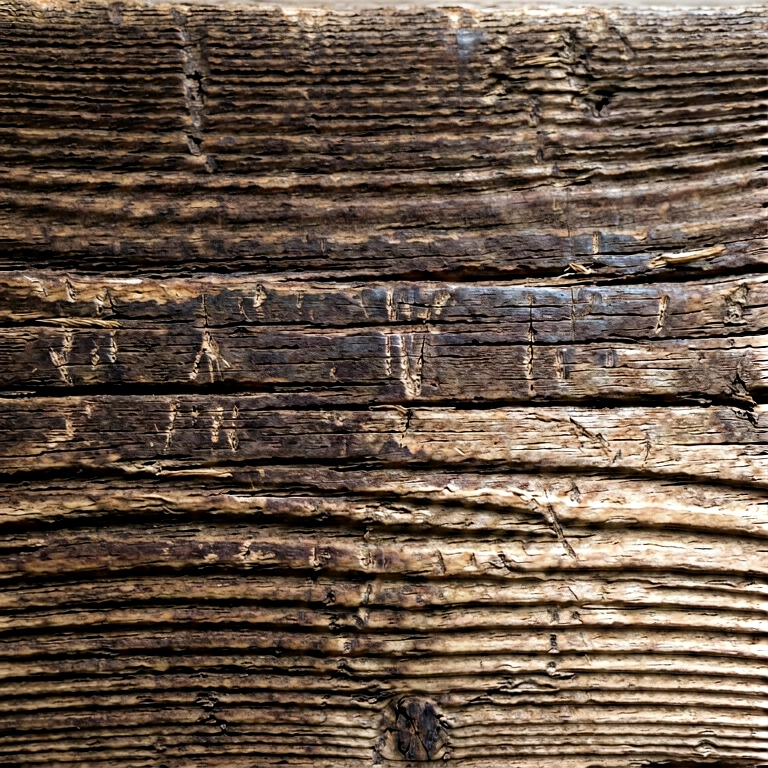 Dramatic bark & wood grain - nature macro free stock photo