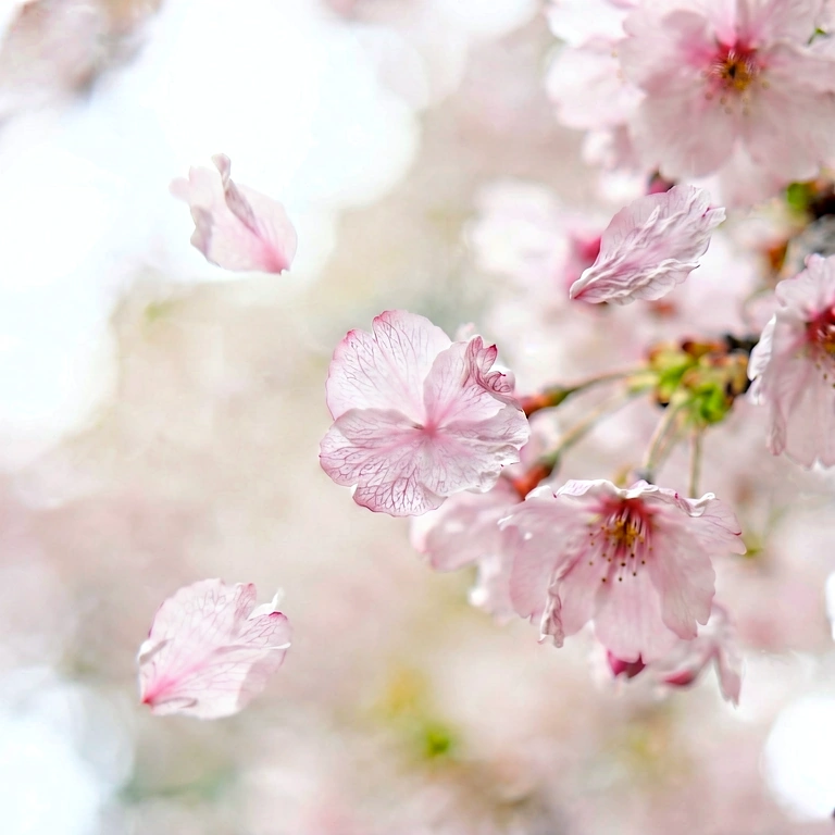 Bright flower macro - nature macro free stock photo