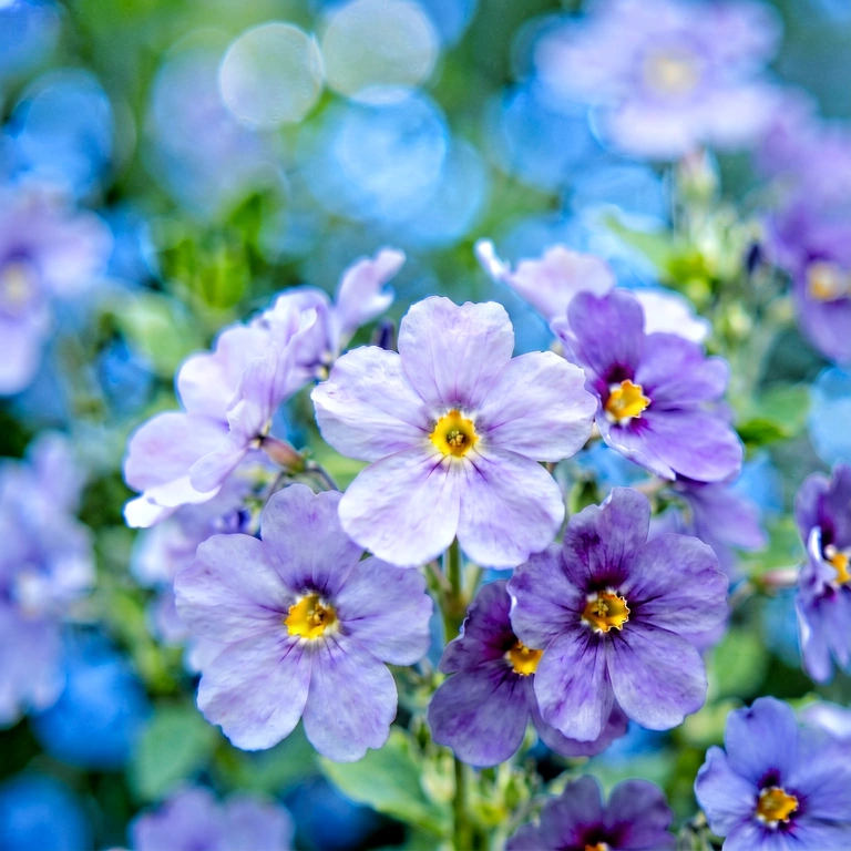 Cool flower macro - nature macro free stock photo