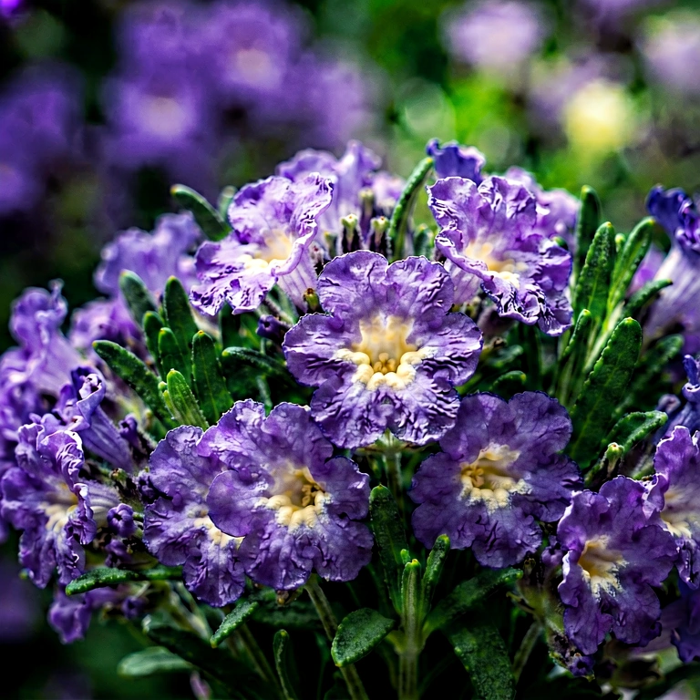 Dramatic flower macro - nature macro free stock photo