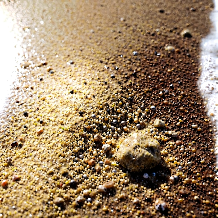 Bright sand & earth - nature macro free stock photo